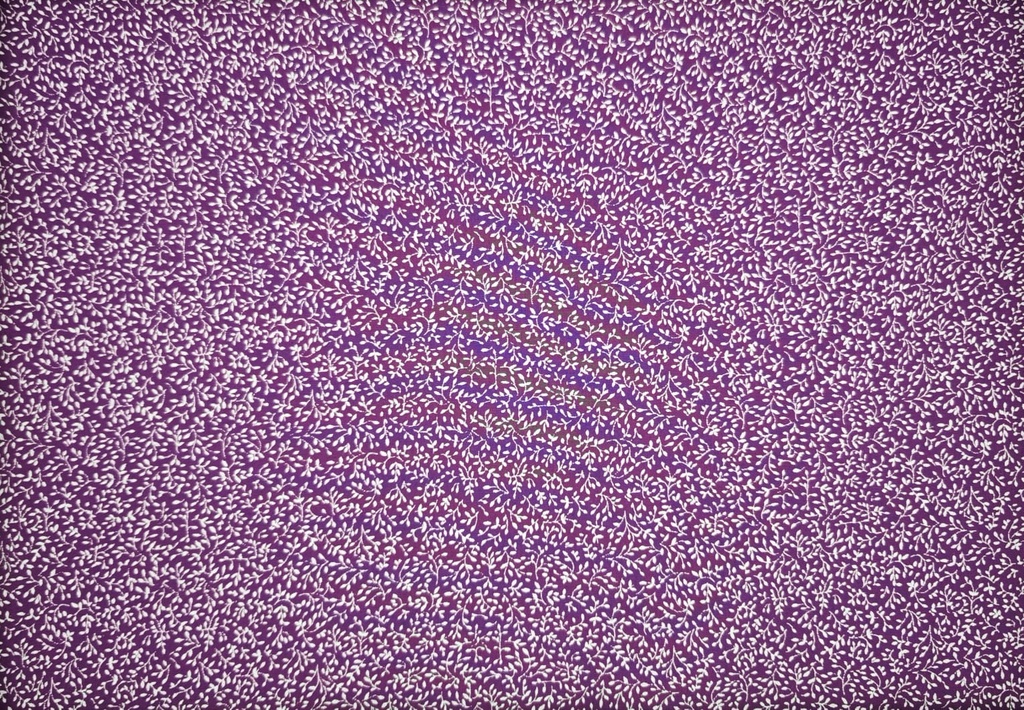 Popelín berenjena florecitas blancas