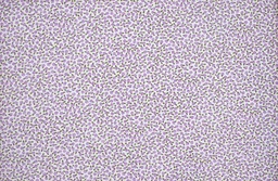 [2596] Viella  florecitas morado verde