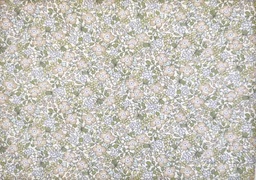 [vpa782] Viella flores beige verde
