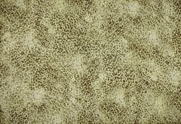 Viscosa animal print caqui