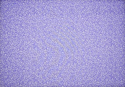 [38803-95986] Popelin lila florecitas blancas