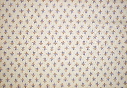 Cordulike flores pasley (copia)