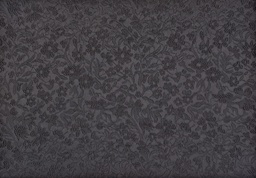 [regis] Plantilla tela (copia)