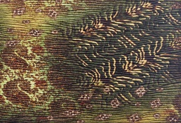 [0569] Plantilla tela (copia)