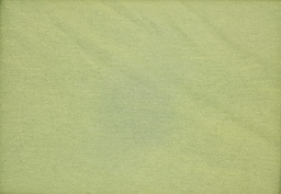 [rex] Plantilla tela (copia)