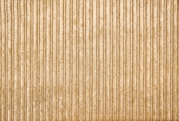 Plantilla tela (copia)