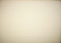 Plantilla tela (copia)