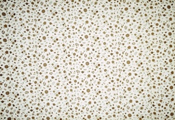 [AC15307] Plantilla tela (copia)