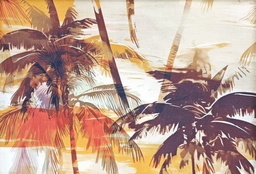 [22633446] Algodón isla tropical