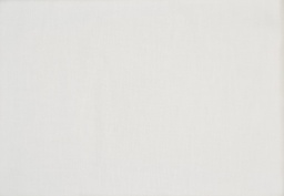 Viscosa pasley fusión (copia)